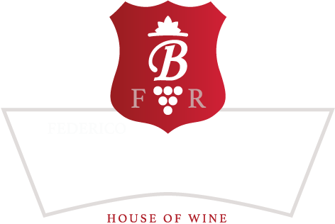 Federico e Riccardo Baccichetto - Roncadelle